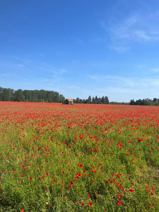 לינה וארוחת בוקר שמו-סור-תארון Oh ! Fleurs Des Champs מראה חיצוני תמונה
